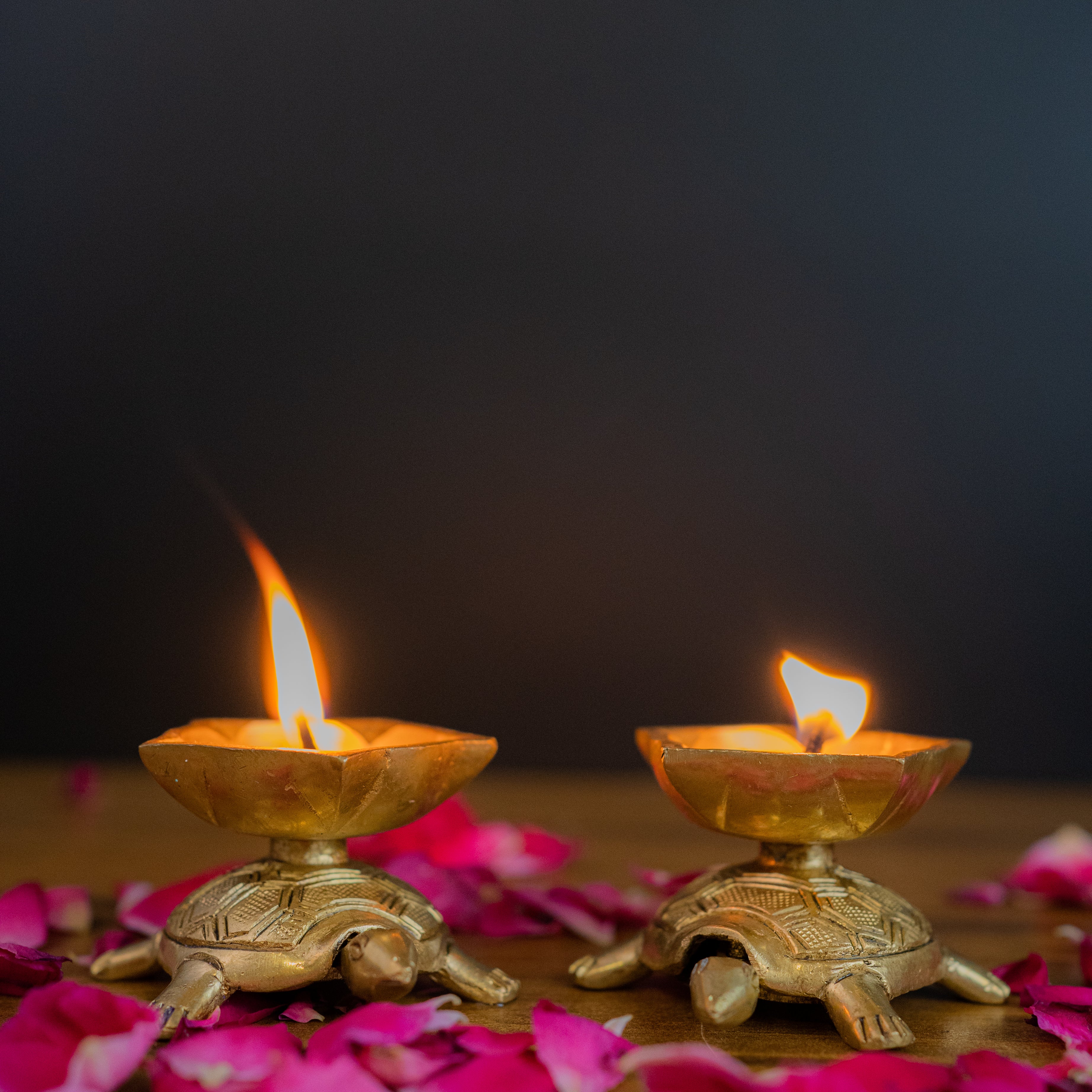 Brass Super Fine Turtle/ Tortoise miniature Pair with Diya